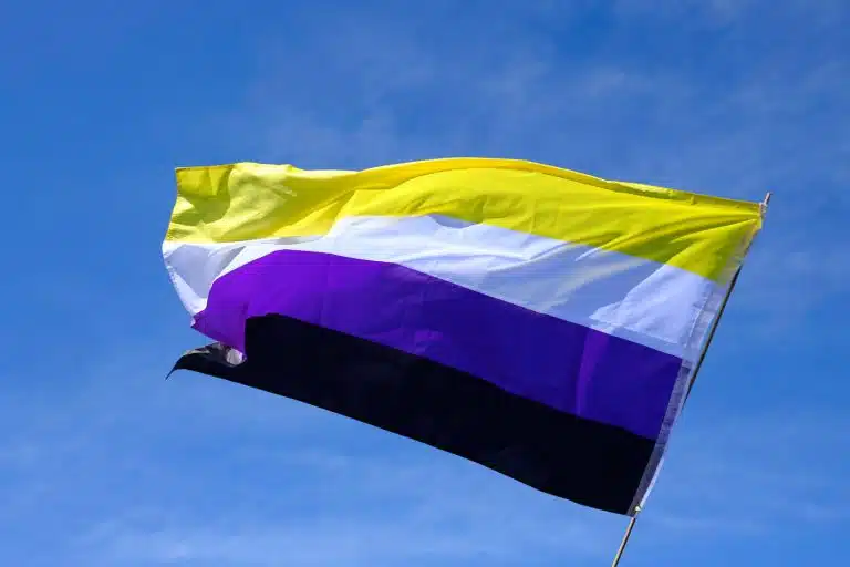 Bandeira do orgulho n&atilde;o bin&aacute;rio tremulando ao vento